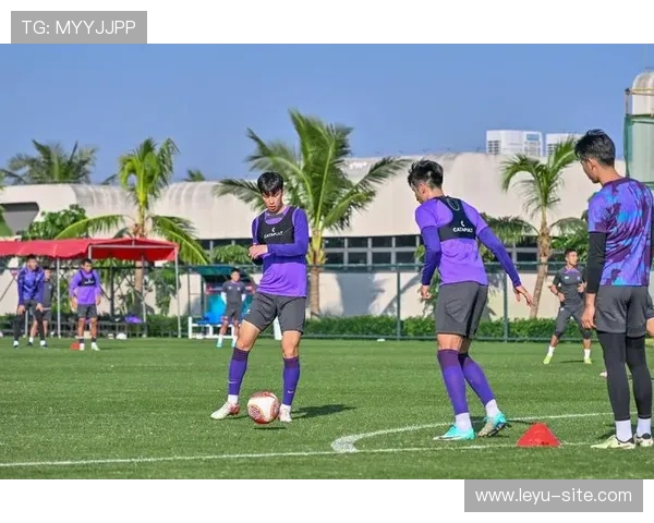 乐鱼体育集团网址查询指南,轻松找到乐鱼体育官方最新登录入口和相关信息