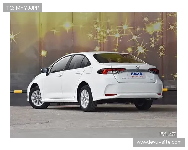 乐鱼官网app登录入口手机版下载安全指南，确保账号信息安全无忧